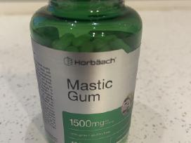 Mastic gum ( mastika)