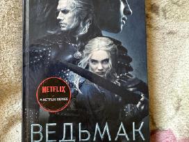 „Raganius: Elfų kraujas“ (A. Sapkowski)