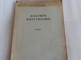 Kolūkių raštvedyba