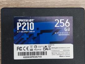 SSD diskas