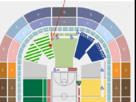 Žalgiris - As Monaco 1 bilietas