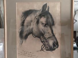 Landseer arklio studija 1902m litografija kartonas