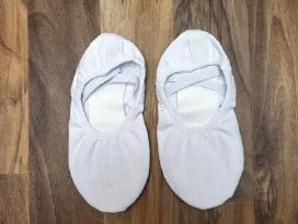 Češkės 25 ,28, 29, 30, 31, 33, 35, 36, 37,