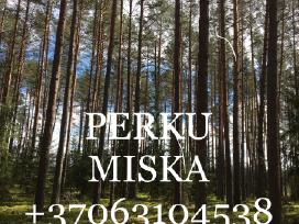 Perku miska