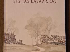 Architektas Sigitas Lasavickas Povilaitytė, Vitkau