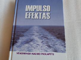 Impulso efektas