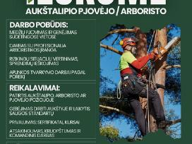 Medžių pjovėjai, aukštalipiai, Arboristai