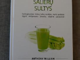 Knyga Salierų sultys
