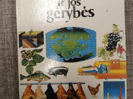 Žemė ir jos gėrybės