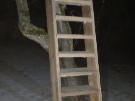 Laiptai