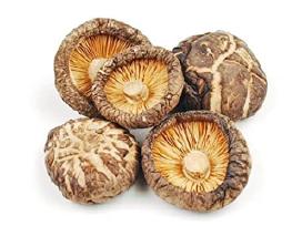 Shiitake grybai