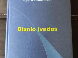 Biznio įvadas-1997