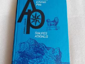 Šiaurės ašigalis
