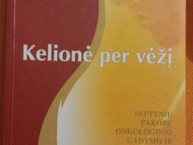 Jeremy R.geffen knyga "Kelione per vezi"