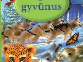 Apie gyvūnus. Mažųjų skaitiniai