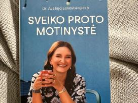 Sveiko proto motinystė