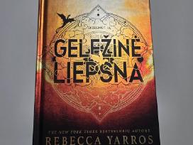 Geležinė liepsna