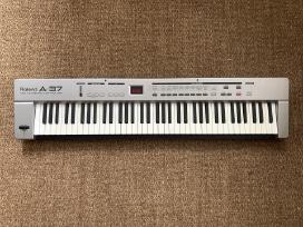 Roland A-37 Midi Keyboard