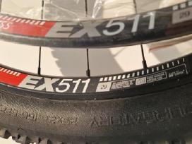 DT Swiss 29" ratlankiai