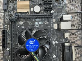 Asus H110m-d motininė plokštė