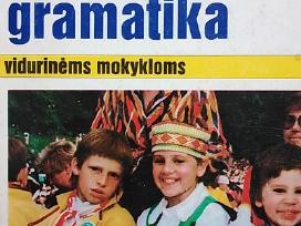 Anglų kalbos gramatika vidurinėms mokykloms