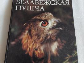 Белавежская пушча