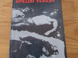 1990 m.a.paulavičius "Kraujo upeliai tekėjo"