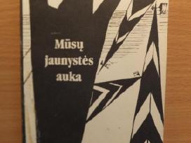 Mūsų jaunystės auka