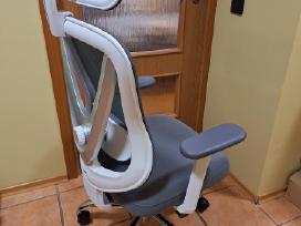 Ergonominė biuro kedė