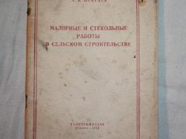 Dažymo ir stiklinimo darbai kaimo statyboje 1956m.