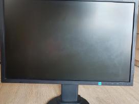 Monitorius Nec