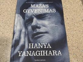 Mažas Gyvenimas