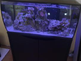 Fluval flex jūrinis akvariumas