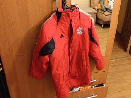 Adidas Bayern pavasarinė striukė 11-12 metų