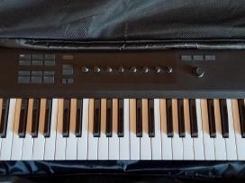 Native Intstruments Komplete Kontrol A49