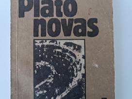 Andrėjus Platonovas. Duobė