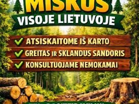 Perkame miško sklypus visoje Lietuvoje