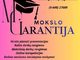 Profesionali Pagalba Studentams/ Verslo Planai