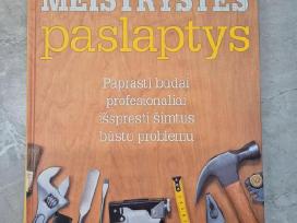 Meistrystės paslaptys