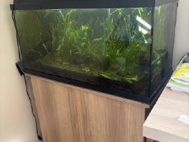 Pilnas akvariumo komplektas 110l su spin