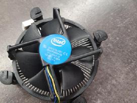 Intel aušintuvai