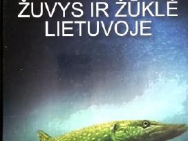 Žuvys Ir Žūklė Lietuvoje