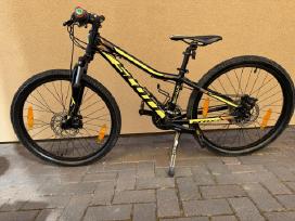 Scott Scale Jr 24
