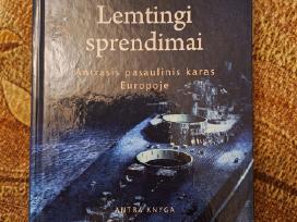 Lemtingi sprendimai. R. Petrauskas