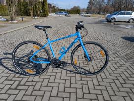 Kona Dew plus