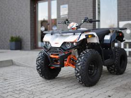 KAYO AU180 180cc, keturračiai
