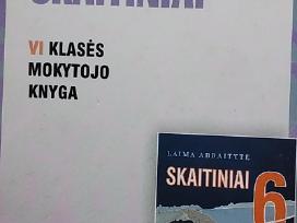Skaitiniai : mokytojo knyga 6 kl / Laima Abraitytė