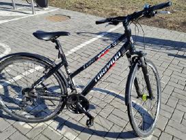 Torpado Sportage T821 moteriškas dviratis
