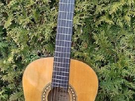 Klasikine gitara.