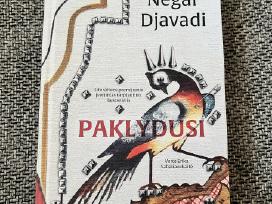 Romanas “paklydusi. (Knyga apie Iraną)